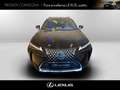 Lexus UX 300h 300h 2.0 urban 2wd 152cv cvt Schwarz - thumbnail 2