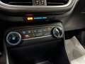 Ford Fiesta 5p 1.0 Ecoboost Hybrid Titanium 125cv Blu/Azzurro - thumbnail 14