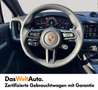 Porsche Cayenne E-Hybrid Grau - thumbnail 12