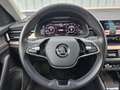 Skoda Kamiq Style/LED/Navi/Virtual/AHK/18Vega/el.Hk Negro - thumbnail 16