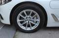 BMW 530 530e Blanco - thumbnail 31