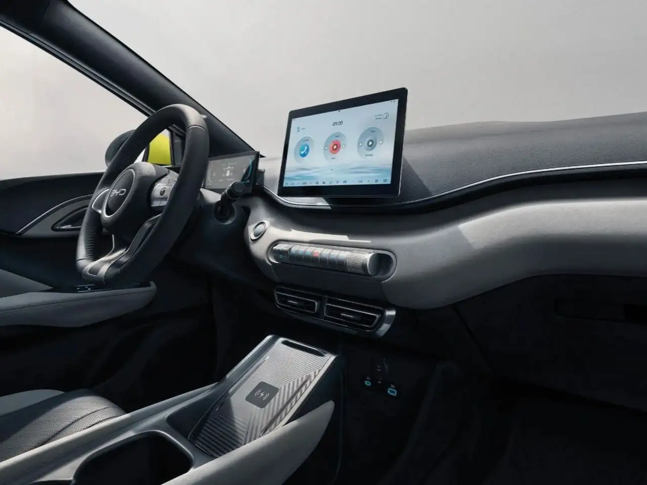 BYD DOLPHIN SURF