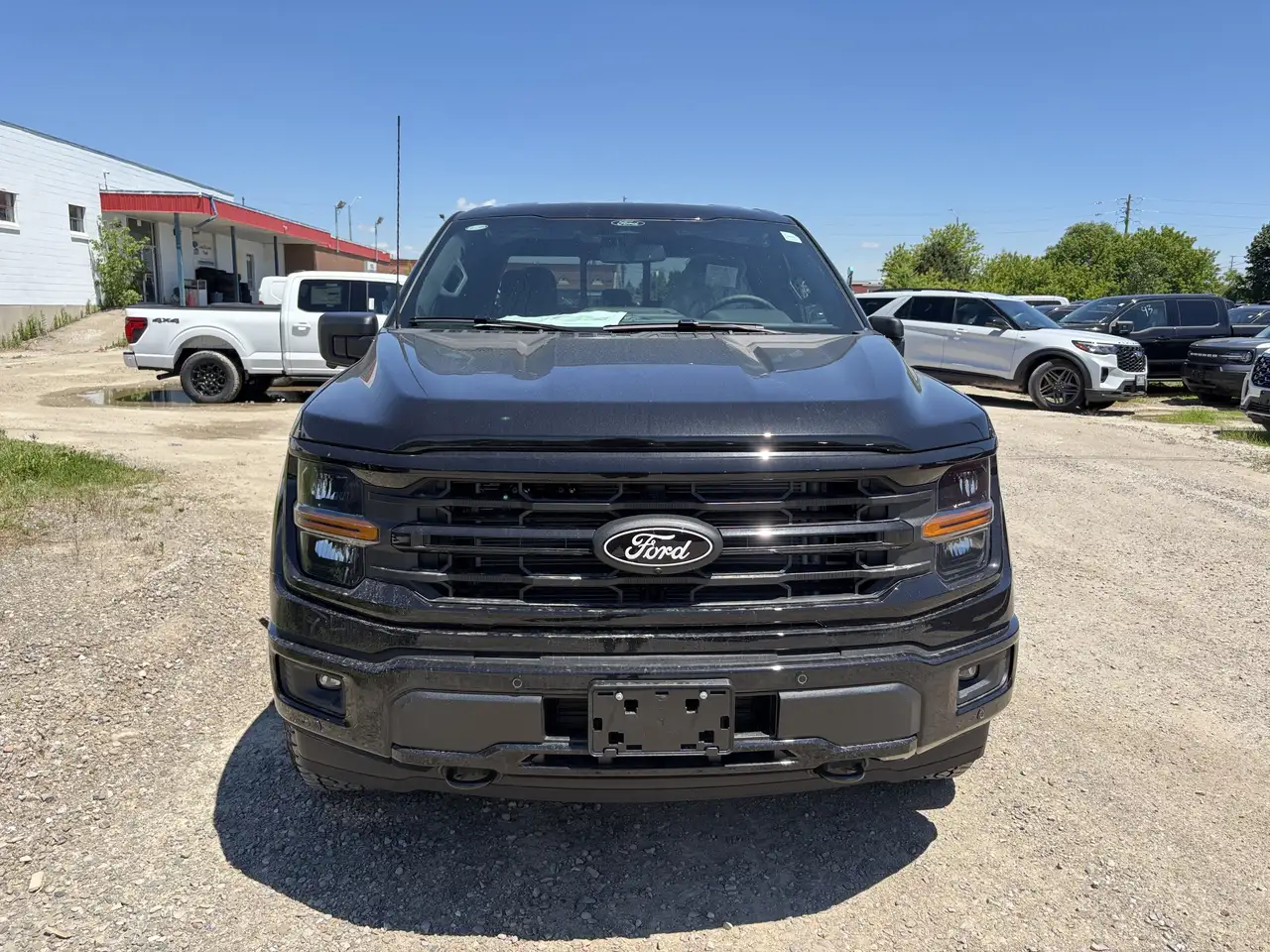 Ford F 150 снимка Ford F 150