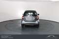 smart forTwo ForTwo Automatik Twinamic / Klimaautomatik / Te... Grau - thumbnail 8