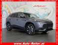 MG HS PHEV+ Luxury 21,4kWh Aut. *LED, ACC,NAVI, LEDER... Grau - thumbnail 1