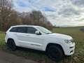 Jeep Grand Cherokee Grand Cherokee 3.0 Automatik Summit Weiß - thumbnail 27