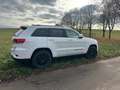 Jeep Grand Cherokee Grand Cherokee 3.0 Automatik Summit Weiß - thumbnail 28