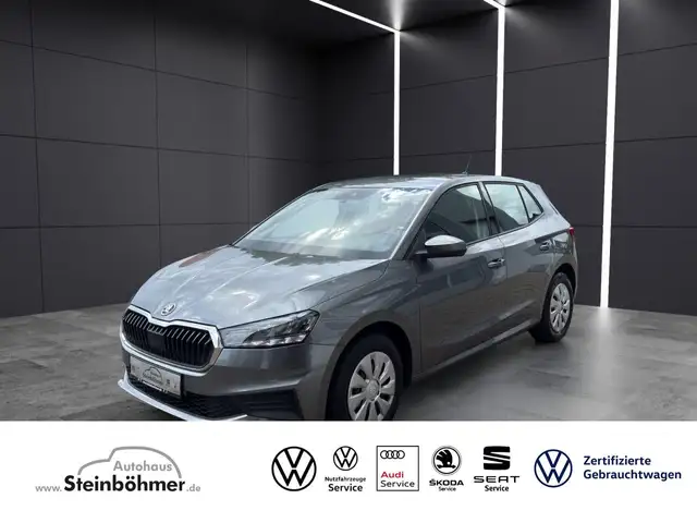 2022 Skoda Fabia in Grey for sale