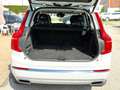 Volvo XC90 T8 Inscription 7 Sitze AWD PANO H&K HUD ACC Bianco - thumbnail 12