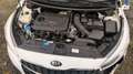 Kia Ceed SW / cee'd SW Vision Weiß - thumbnail 4