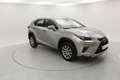 Lexus NX 300h NXH BUSINESS 2.5 HYBRID 197 CV AUTO 5P 2WD - thumbnail 6