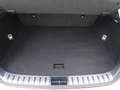 Lexus NX 300h NXH BUSINESS 2.5 HYBRID 197 CV AUTO 5P 2WD - thumbnail 13