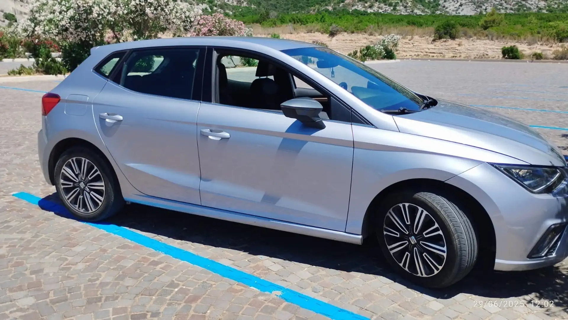 SEAT Ibiza 1.6 tdi Xcellence 95cv - 2