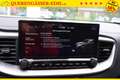 Kia Ceed / cee'd 1.5 T-GDi "Silver" 103 kW (140 PS), Schalt. 6-G... Vert - thumbnail 23