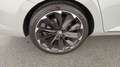 Skoda Superb Sportline TDI DSG Grau - thumbnail 26