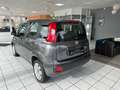 Fiat Panda Easy*Klima*Scheckheft*Tüv Neu* Silber - thumbnail 4