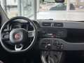Fiat Panda Easy*Klima*Scheckheft*Tüv Neu* Silber - thumbnail 9