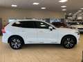 Volvo XC60 Inscription*Plug-In*AWD*Pano*R.cam*Navi*SHZ Blanc - thumbnail 4