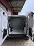 Fiat Fiorino Panorama - thumbnail 13