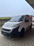 Fiat Fiorino Panorama - thumbnail 14