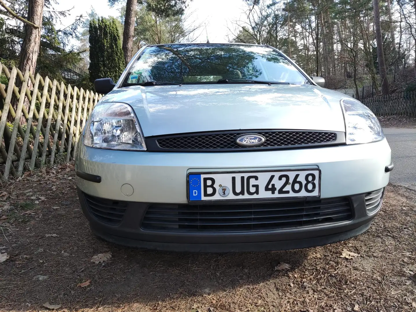 Ford Fiesta 1,3 Ambiente Vert - 2
