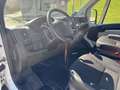 Peugeot Boxer LKW F.FZ.-BEFOERDERUNG - thumbnail 11
