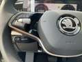 Skoda Superb Combi L&K 4x4 2.0 TDI HUD AHK Panodach Na Silber - thumbnail 20
