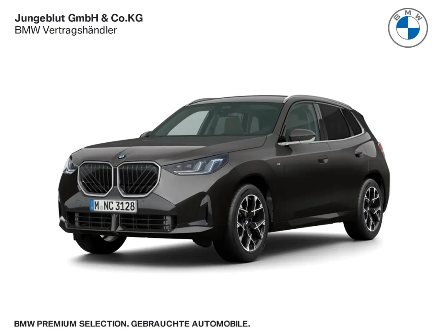 BMW X3 20d (G45) M Sport Park-Assist+/AHK/DrivingAssist+/ Grau - 1
