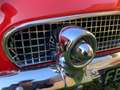 Ford Thunderbird Rosso - thumbnail 6