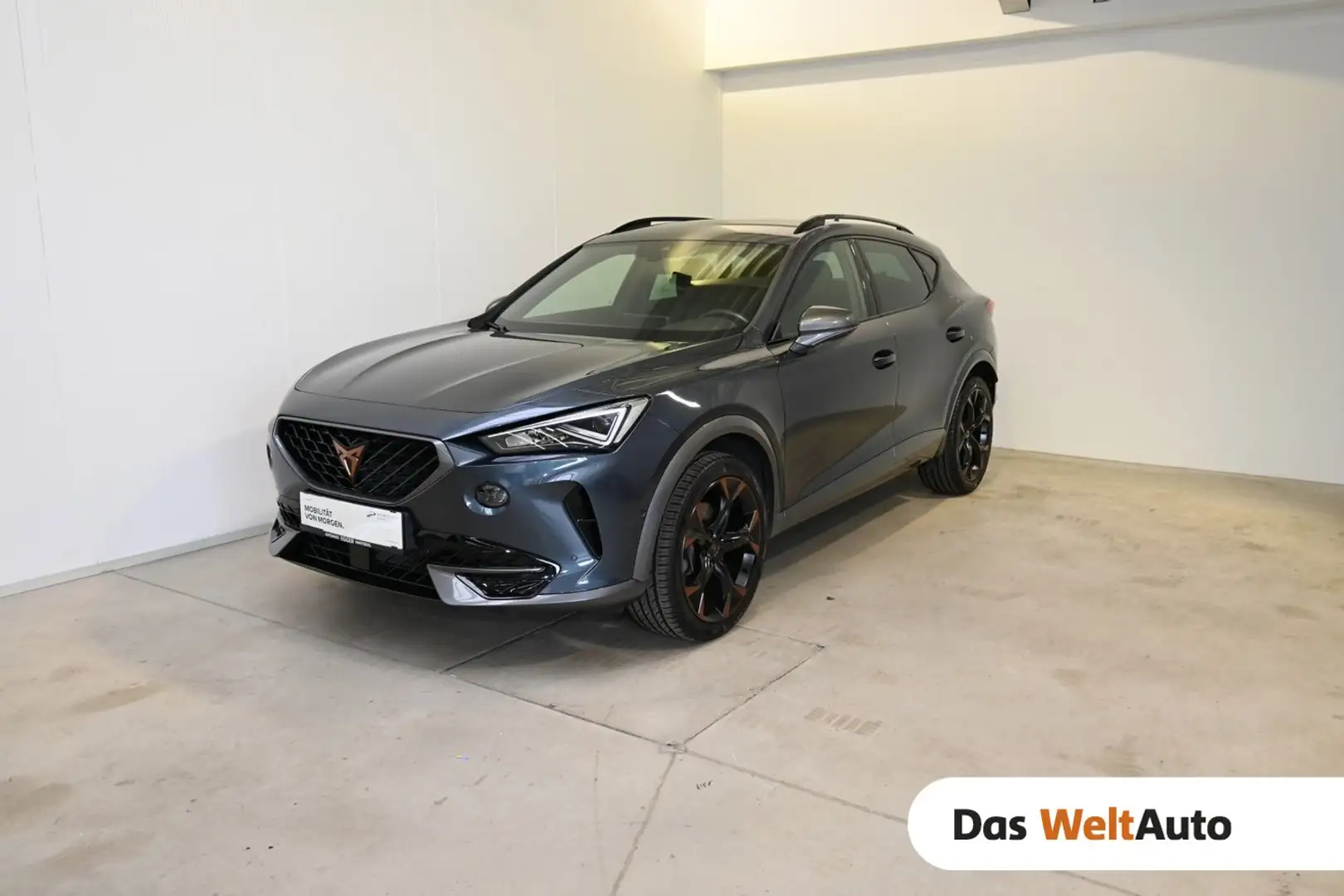 CUPRA Formentor 1.5 TSI 150 PS ACT Szürke - 1
