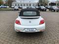 Volkswagen Beetle Cabriolet Club 1.2 TSI +NAVI+LED+GRA+ White - thumbnail 3