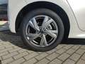 Mazda 2 Hybrid EXCLUSIVE Klimaaut RFK Sitzheizg Tempomat E Weiß - thumbnail 19