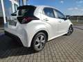 Mazda 2 Hybrid EXCLUSIVE Klimaaut RFK Sitzheizg Tempomat E Weiß - thumbnail 3