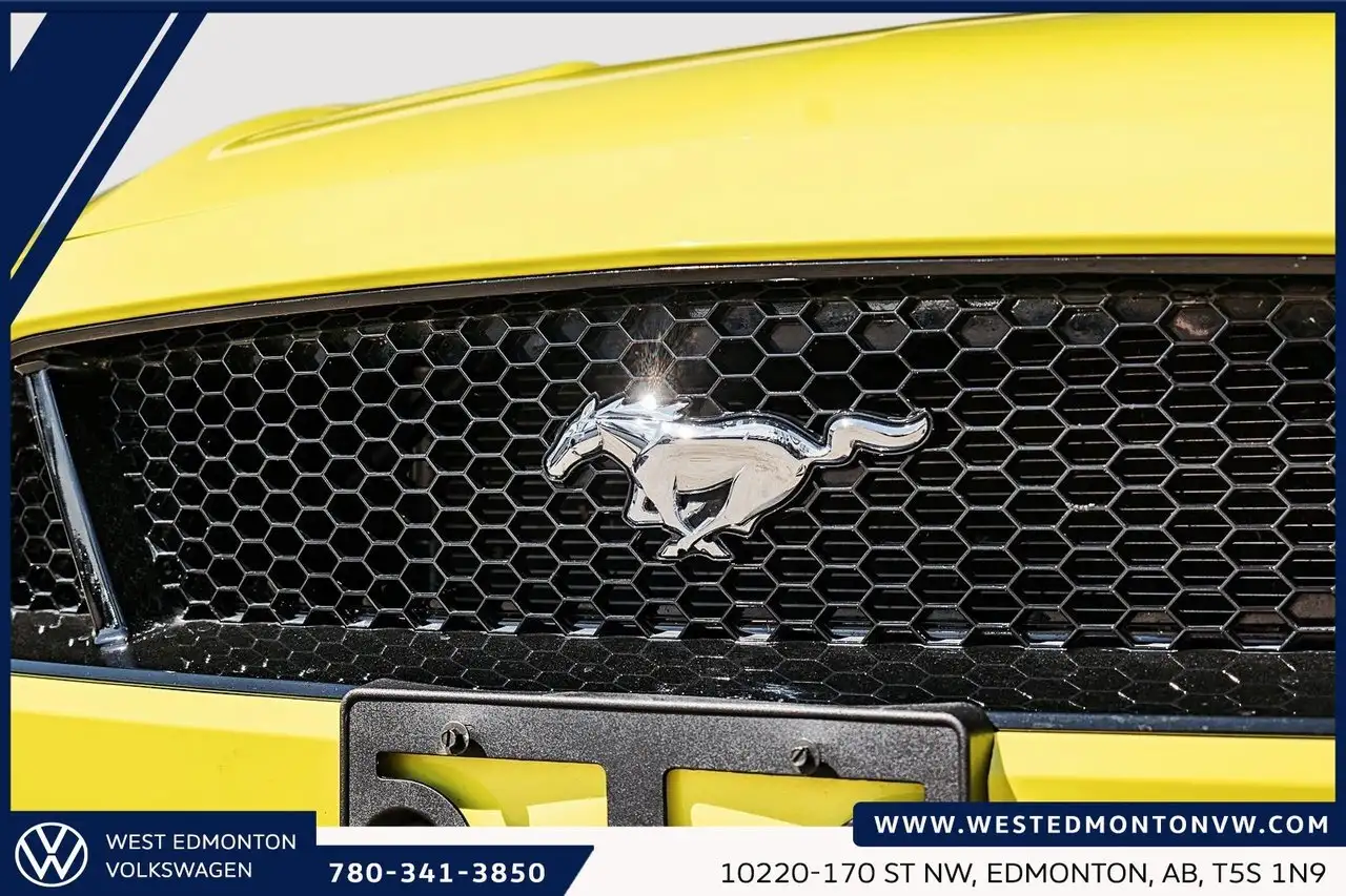 Ford Mustang снимка Ford Mustang