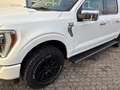 Ford F 150 /Navi/Kamera/SHZ/LKH/Pano/Prins Gasanlage Alb - thumbnail 5