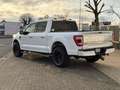 Ford F 150 /Navi/Kamera/SHZ/LKH/Pano/Prins Gasanlage Alb - thumbnail 4