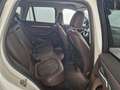 BMW X1 xDrive25d Driving Assistant Plus, LED Bianco - thumbnail 11