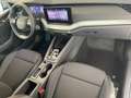 Skoda Octavia Combi Essence DSG AHK+Sitzheizung+App Connect 1... Grigio - thumbnail 13
