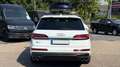 Audi SQ7 4.0 TDI quattro PANO MATRIX ALLRADLENKUNG Blanc - thumbnail 4