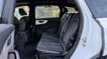 Audi SQ7 4.0 TDI quattro PANO MATRIX ALLRADLENKUNG Blanc - thumbnail 12