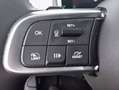 Fiat 600 MHEV  1.2 74kW (100CV) DDCT La prima Blanco - thumbnail 19