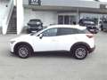 Mazda CX-3 G121 Takumi Weiß - thumbnail 8