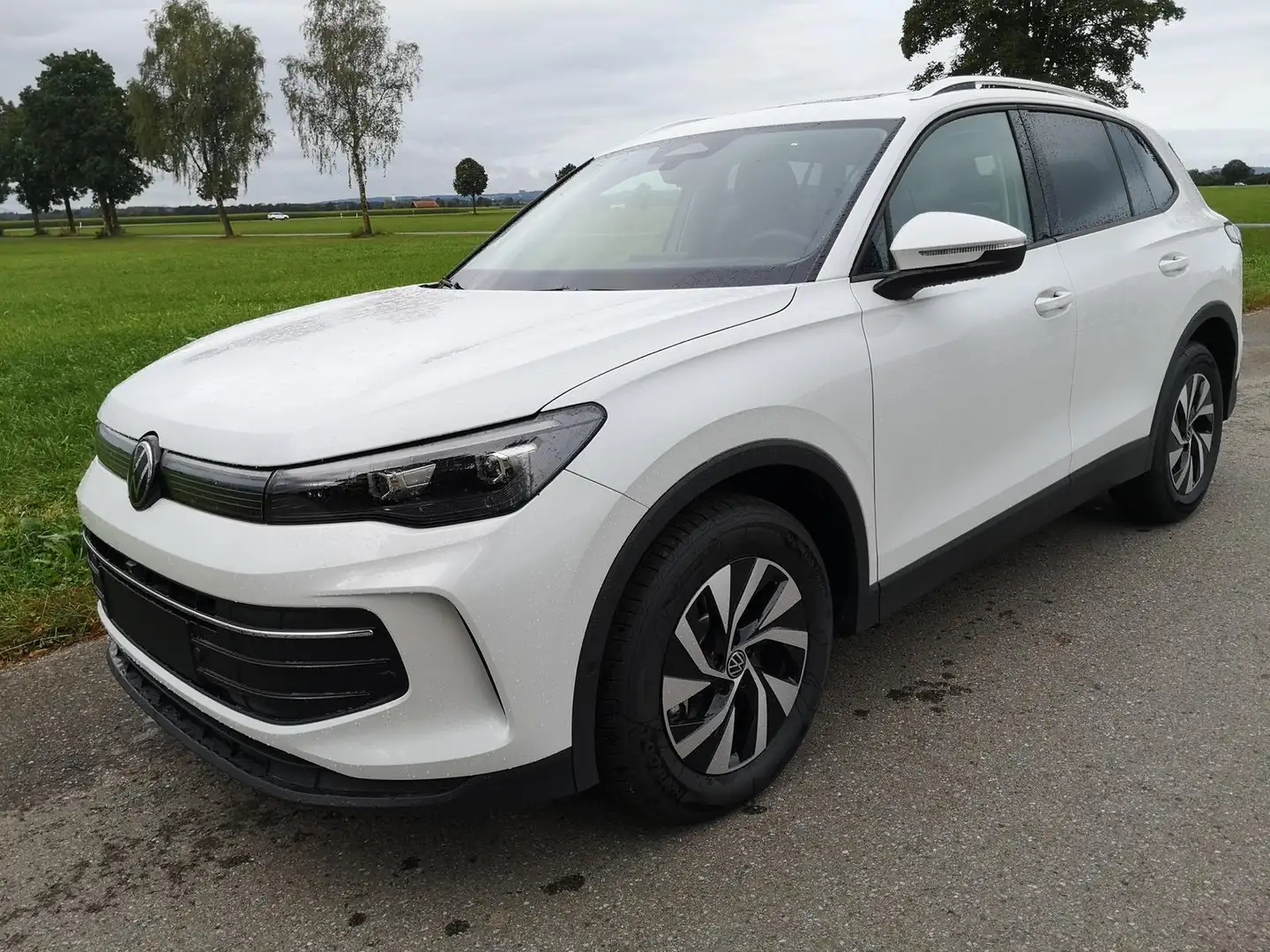 Volkswagen Tiguan 2.0 TDI 4x4 Life Pano IQ LED Head GV5 AHK 360 Weiß - 1