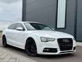 Audi A5 Sportback 2.0 TDI S-LINE+|SHZ|XENON|DSP|TOP| Blanco - thumbnail 5