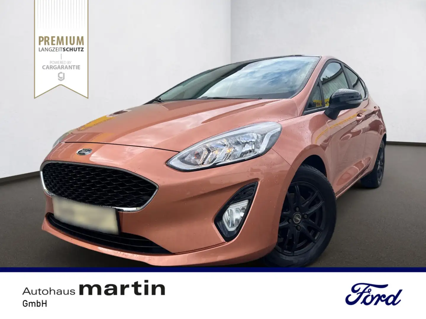 Ford Fiesta 1.0 EcoBoost Cool&Connect Start/Stopp Braun - 1