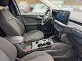 Ford Kuga 2,5 Duratec FHEV Active Allrad Aut. *SOFORT VER... Blau - thumbnail 20