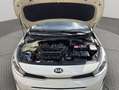 Kia Rio 1.2 DPi Concept 84 Blanco - thumbnail 22
