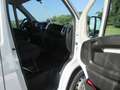 Fiat Ducato 2.3 MJET. 140 CV. L3H2 bijela - thumbnail 4