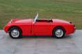 Austin-Healey Sprite MkI Frogeye - Body-off restored Rot - thumbnail 11