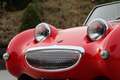 Austin-Healey Sprite MkI Frogeye - Body-off restored Rot - thumbnail 3